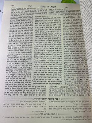 תיקוני הזוהר אילנא דחיי