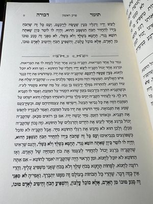 תומר דבורה מפורש כריכה רכה
