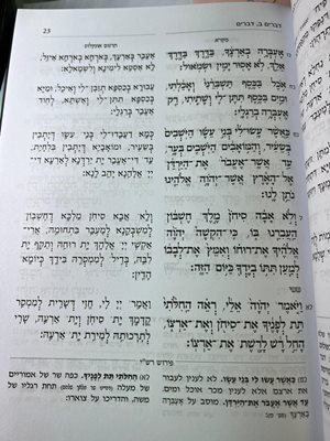 חמשה חומשי תורה מנוקד