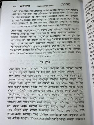 טהרת הקודש אהרון ראטה שומר אמונים