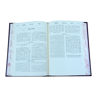 זרע-שמשון-המבואר-דברים-554507-2