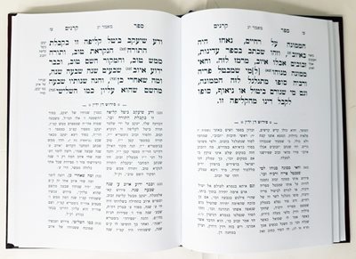 דן ידין רבי שמשון מאוסטרופולי