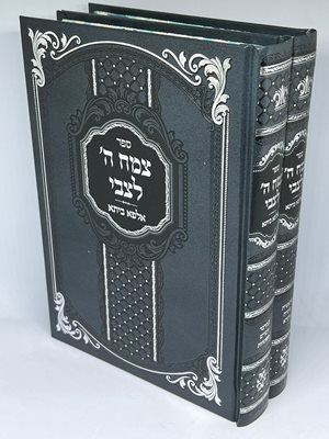 צמח ה' לצבי על התורה ב' כרכים | המגיד מנדבורנא