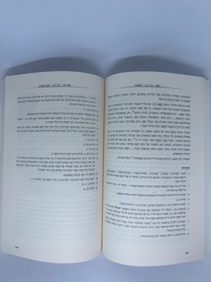 הרב יצחק גינזבורג