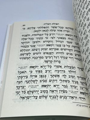 סליחות הרב יורם אברג'ל