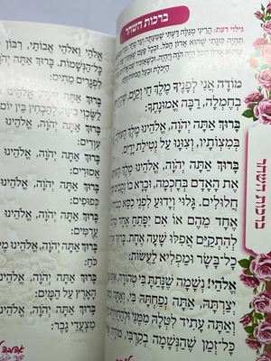 ספר תיקון הכללי תפילה להשם