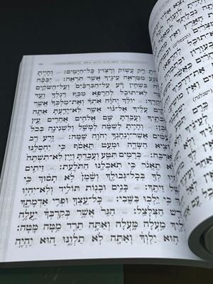 ספר דברים משנה תורה הרב פינטו