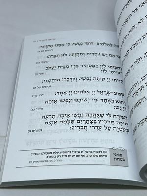 מאמר הקיווי