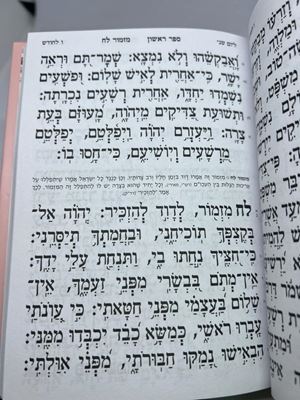 תהלים עבודה שבלב ורוד