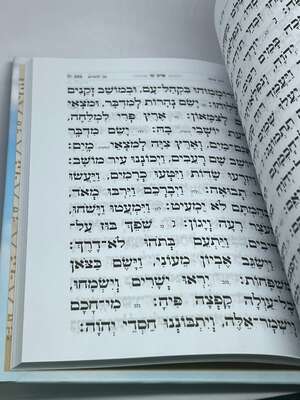 תהלים בינת הלב עם ברכת המזון