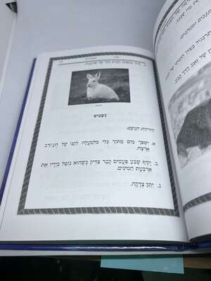 סוד הסגולות השלם