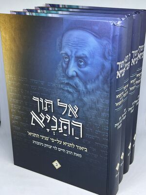 אל תוך התניא - ביאור לתניא על פי פניני התניא מאת הרב חיים לוי יצחק גינבורג ד' כר'