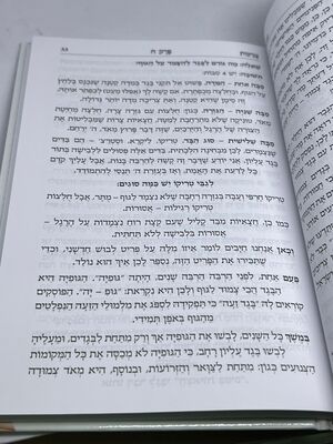 צניעות רונן חזיזה