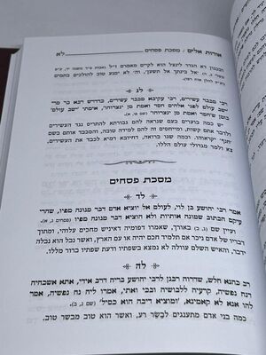 אורות אלים רבי אלעזר פאפו