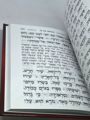 ספר תהילים שי למורא