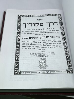 ספר דרך פקודיך רבי צבי אלימלך מדינוב