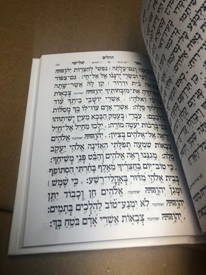 תהילים עבודת השם