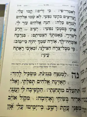 תהילים בינת הלב גדול