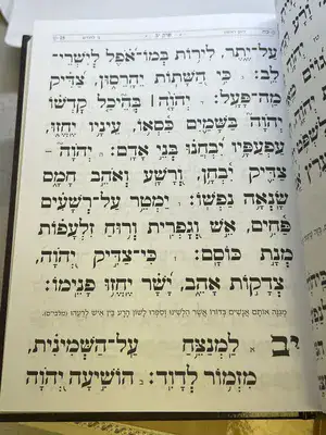ספר תהילים באר שמואל אותיות גדולות