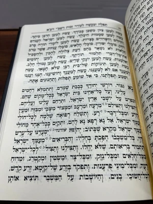 ניצוצי הארי