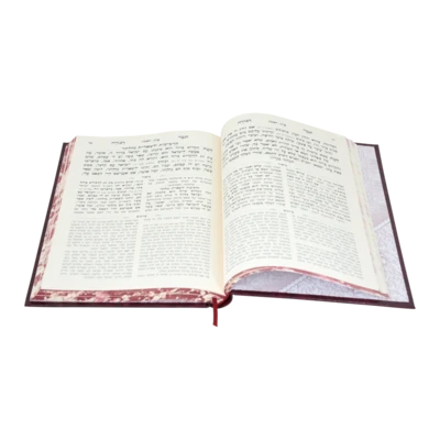 תומר דבורה מבואר