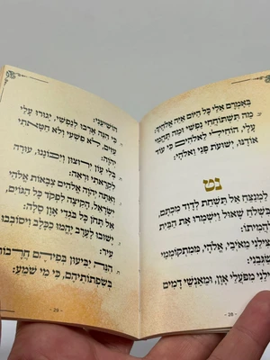 תיקון הכללי - גודל כיס כריכה רכה