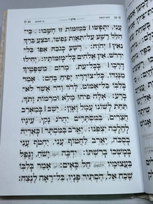 ספר תהלים בינת הלב