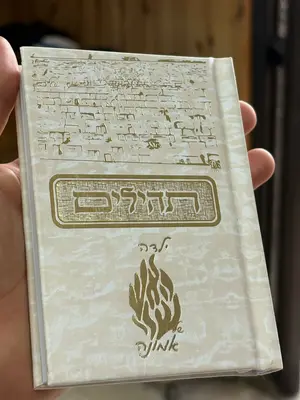 תהילים בינת הלב - ילדה של אמונה 🤍✨