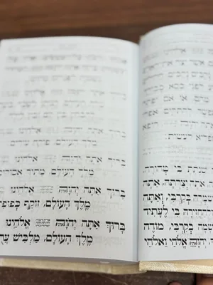 סידור דגם כותל בינת הלב
