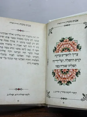 אבנים טובות ברקת - גודל כיס כריכה קשה
