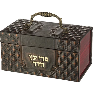 קופסא לאתרוג דמוי עור עם מנעול | 19 ס״מ