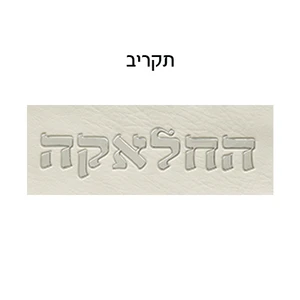 סט חלאקה בצבע בז׳ עם נרתיק לתלתל ומספריים מתכת
