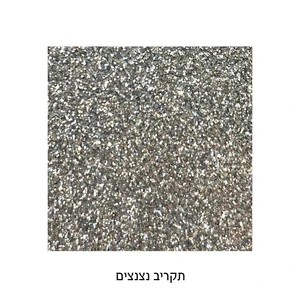 מגש זכוכית כסף עם מראה ונצנצים | 23 ס״מ