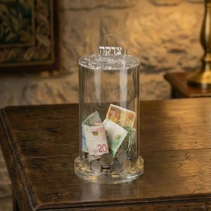 קופת צדקה מאקריליק בגוון כסף עם נצנוץ עדין | 10 ס״מ