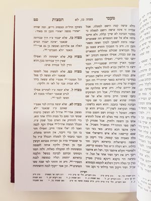 טעמי המצוות - דוד בן זמרא