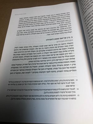 שיעורים בגמרא הרב שג"ר