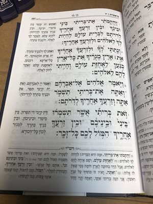 סט חומש חזון אליהו ה' כר