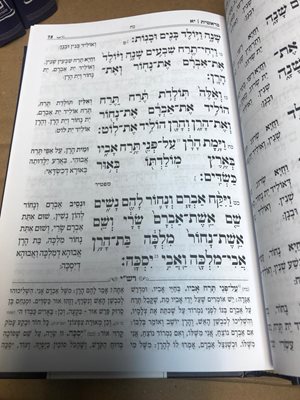 חמישה חומשי תורה עם תפילות לשבת