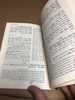משניות עם פירוש משנת רפאל