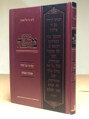 פרקי מחשבה - מהותו של יהודי, אמונה ובטחון, יסורים | הרב עזריאל טאובר
