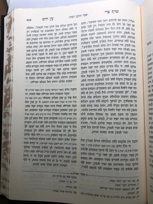 שרף פרי עץ חיים