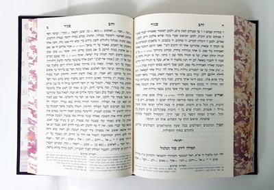 כרם חמ"ר החיד"א מכון המאור