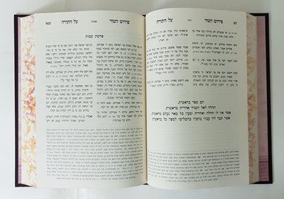 פירוש הטור הארוך על התורה מכון המאור