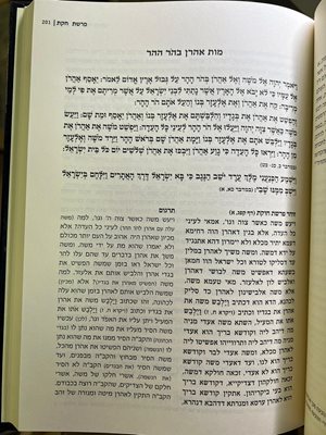 ספר עיון במדרשי הזוהר