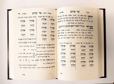 פרי עץ הגן ספרי הרש"ש