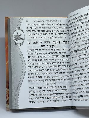 ספר תפילות תחינות וסגולות