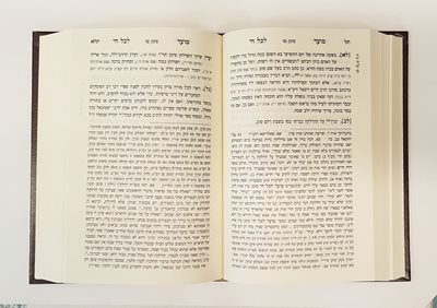 ספר מועד לכל חי ספר כפר לחיים
