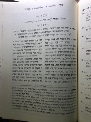 שירי משכיל הרב הלל