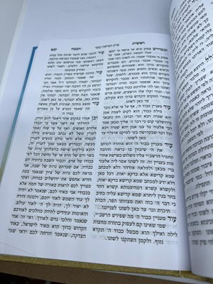 ראשית חכמה ר' אליהו די וידאש