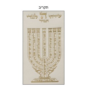 סט טלית תפילין דמוי עור לבן אותיות בולטות "שיויתי" זהב 31*38 ס"מ